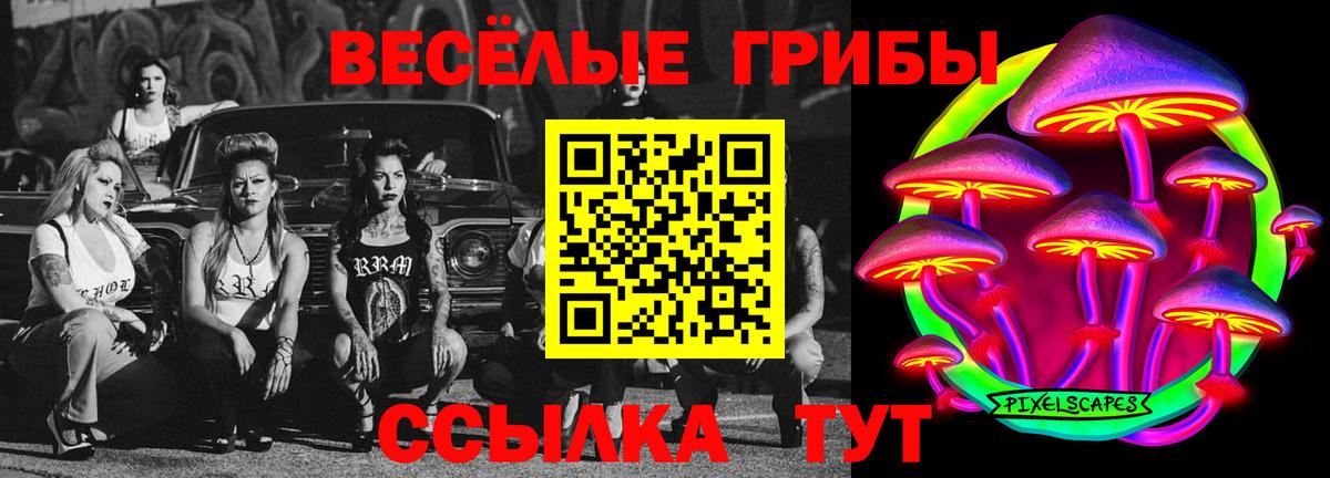 Псилоцибиновые грибы GOLDEN TEACHER Казань