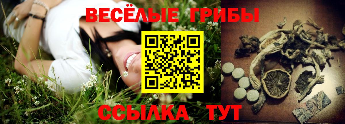 Псилоцибиновые грибы GOLDEN TEACHER  Вход с VPN  Казань 
